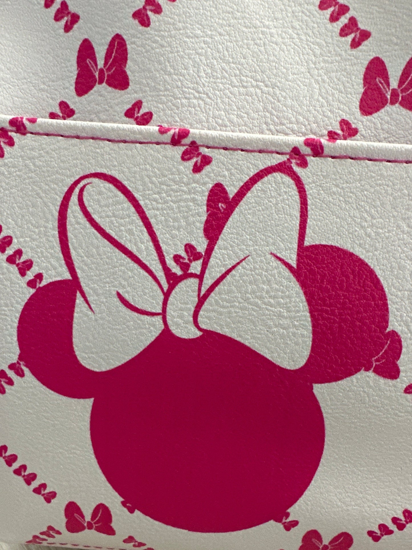 Disney Minnie Mouse 2-piece Travel Pouch Set
